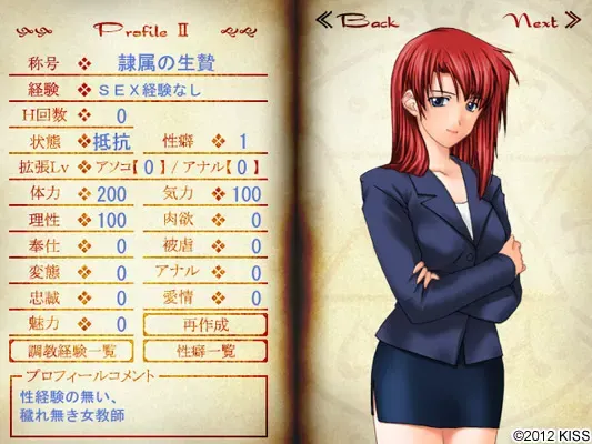 定制奴隶II 预览图 11