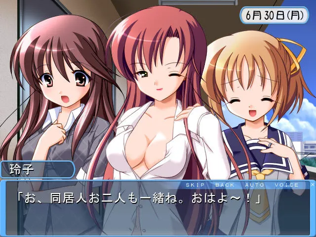 ドキドキお姉さん 预览图 3