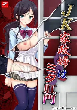 JK家政妇看过肛门 封面