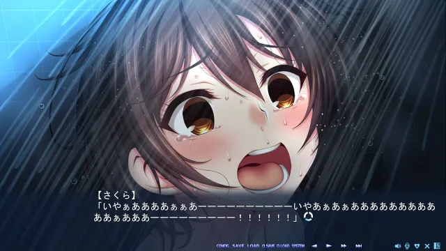 梦幻之樱2 预览图 3