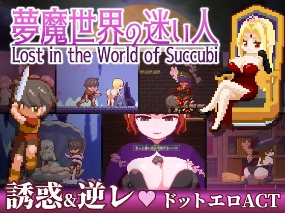 梦魔世界的迷途人 封面