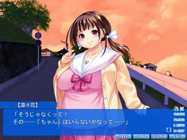 デブプラス 预览图 2