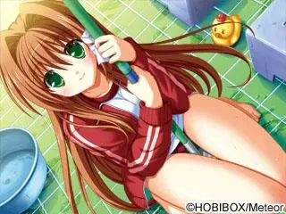 四叶奇迹 预览图 22