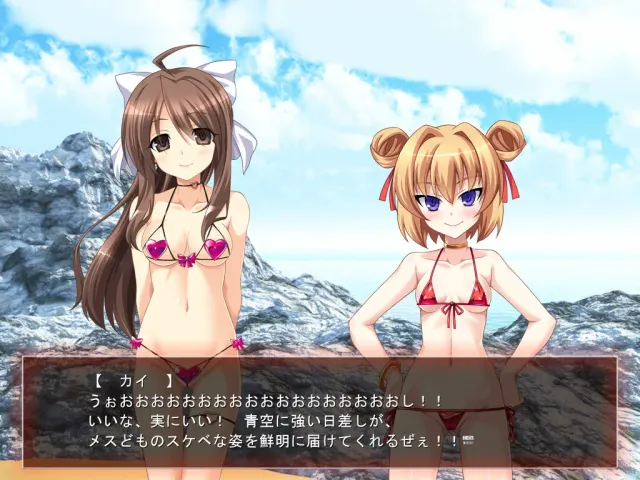 TS魔法少女闪!2nd!! 预览图 10