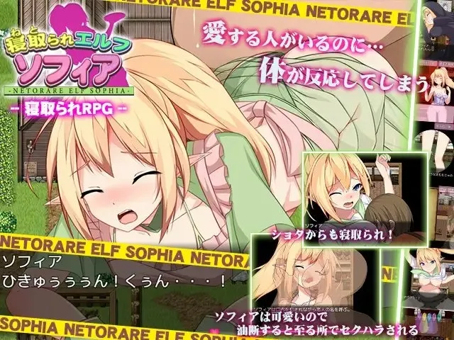 寝取られエルフ ソフィア 预览图 1