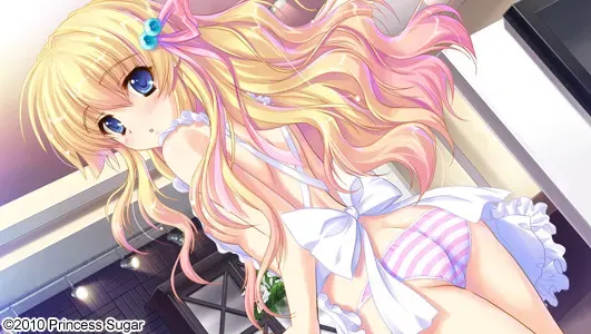 姫様限定！～Princess Limited～ 预览图 14