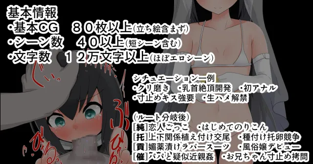 被寝取的幼妻 预览图 3