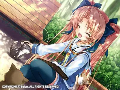 孕巫女 预览图 12