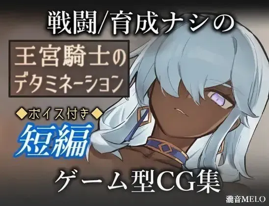 王宫骑士的决意 封面