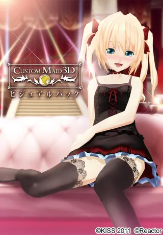 カスタムメイド3D ビジュアルパック 封面