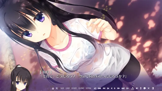 RIDDLE JOKER 预览图 3