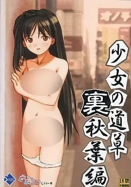 少女の道草～裏秋葉編～ 封面