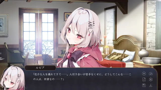 宝石少女 1st.cut 预览图 4