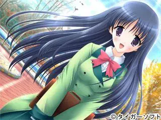 合上，打开 预览图 10