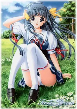 Tender Breeze 封面