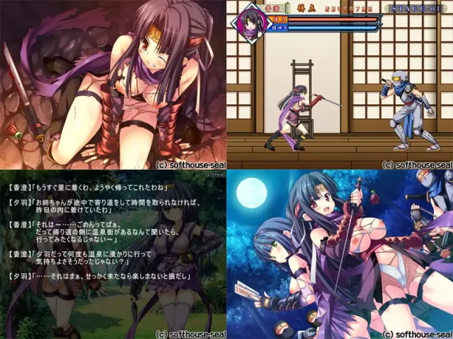 華麗に悩殺♪ くのいちがイク！～桃色ハレンチ忍法帳～ 预览图 1