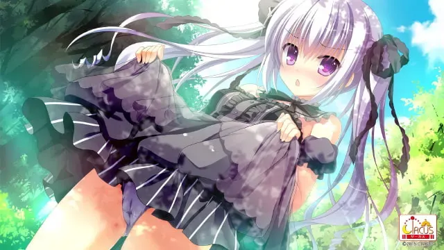 D.S. -Dal Segno- 预览图 8