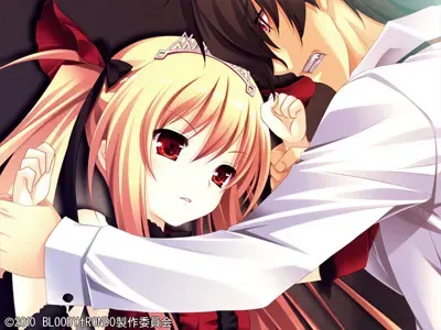 BLOODY†RONDO ～Windows8对应版～ 预览图 20