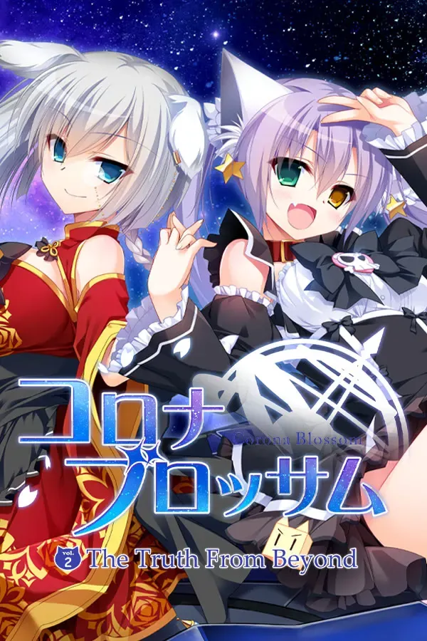 日冕之华 封面