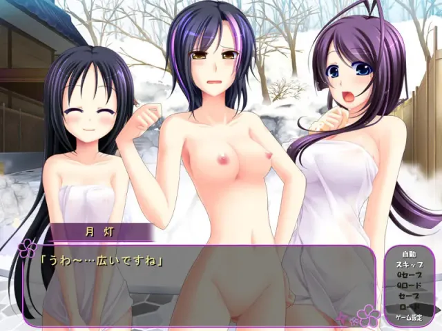 ひとづままん!! ～孕んだくノ一妻みごろ～ 预览图 7