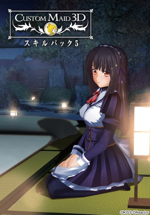 カスタムメイド3D スキルパック5 封面