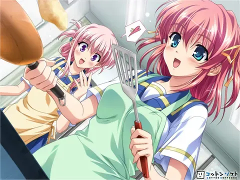 肉豆蔻 预览图 11