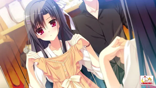 D.S. -Dal Segno- 预览图 4