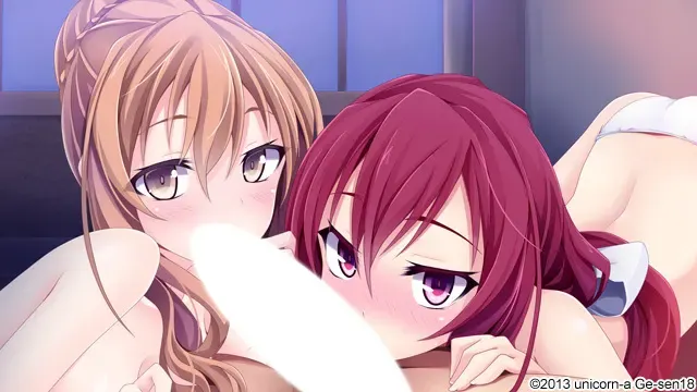 （九）战极姬5 斩断战祸之霸王的系谱 预览图 27