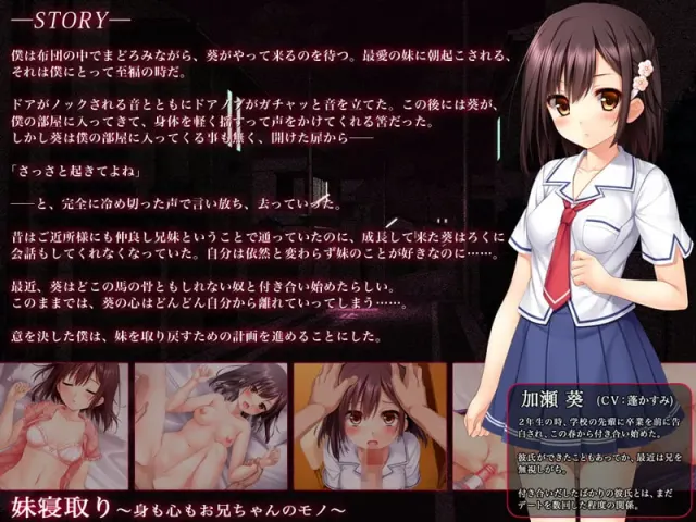 妹妹寝取～身心都是哥哥的所有物～ 预览图 7