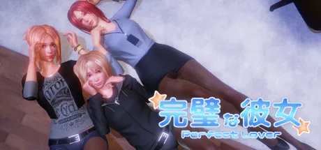 完美女友 封面