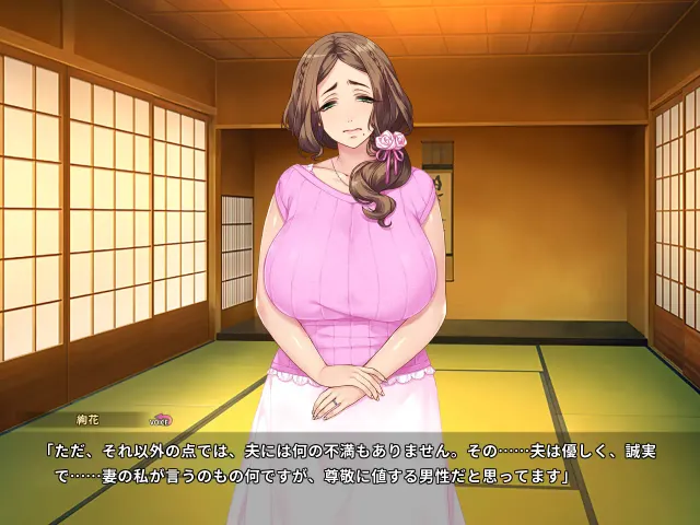 妃神会秘史 预览图 2