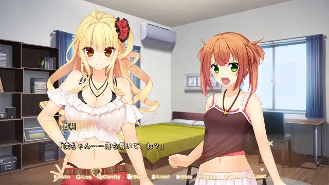 贤者赠予的妹妹 预览图 3