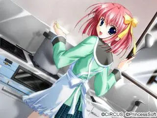 Sakura~雪月华~ 预览图 3