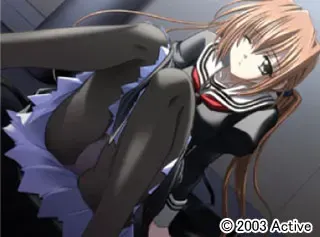 Arabica 预览图 16