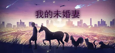 我的未婚妻 封面