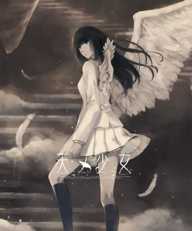 天之少女 封面