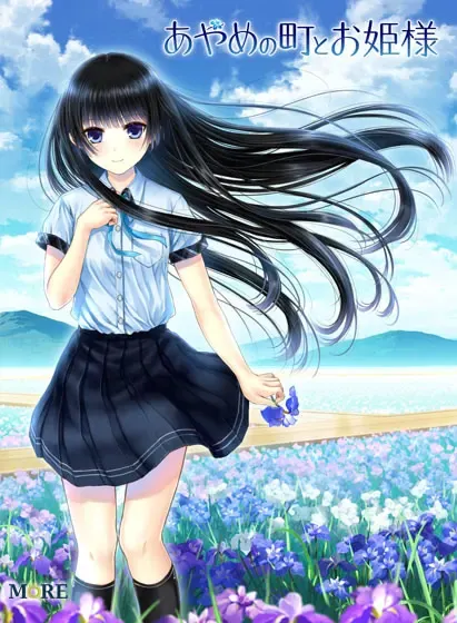 菖蒲的城镇与公主 封面