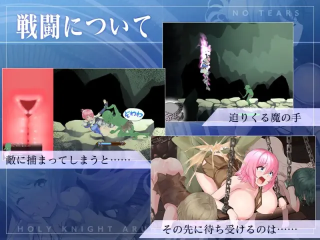 圣骑士阿尔涅与魔孕咒印～Another No Tears～ 预览图 2