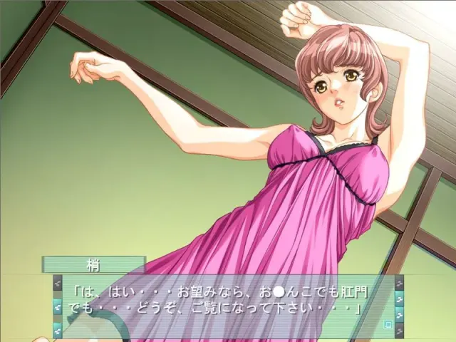 隷嬢キャスター2 预览图 4