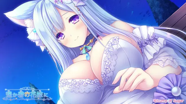 献给蔚蓝之海的新娘 预览图 1