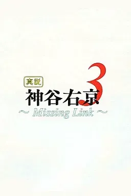 真说 神谷右京3 ～Missing Link～ 封面