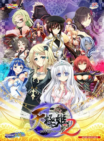 （十三）天极姫2~霸権争夺, 幻妖之将星~ 封面