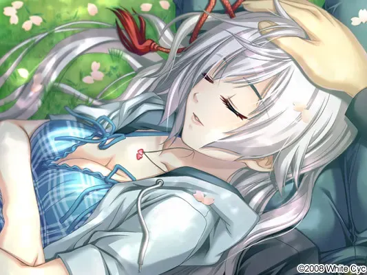恋する式（おとめ）～SHIKIGAMI 2008～ 预览图 10