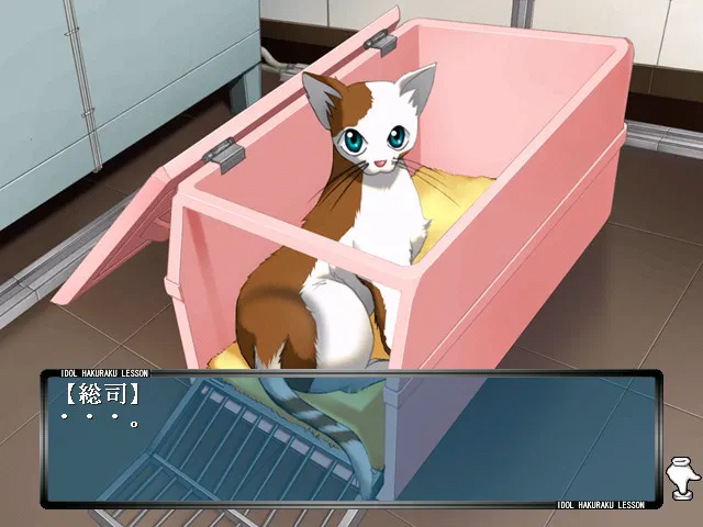 IDOL剥落LESSON 预览图 6