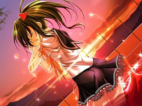 四叶草 预览图 17