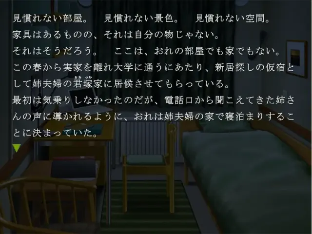姉妻～姉弟相奸游戏～ 预览图 5
