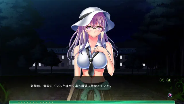 淫靡荡少女 – 被留下的乐园公主 预览图 3