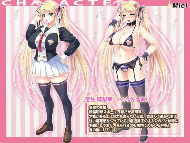 金发爆乳大小姐 预览图 11