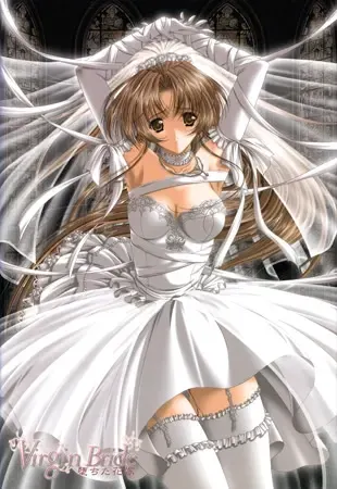 Virgin Bride ~堕ちた花嫁~ 封面