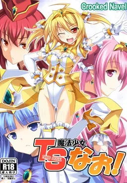 TS魔法少女闪!Plus!! 封面
